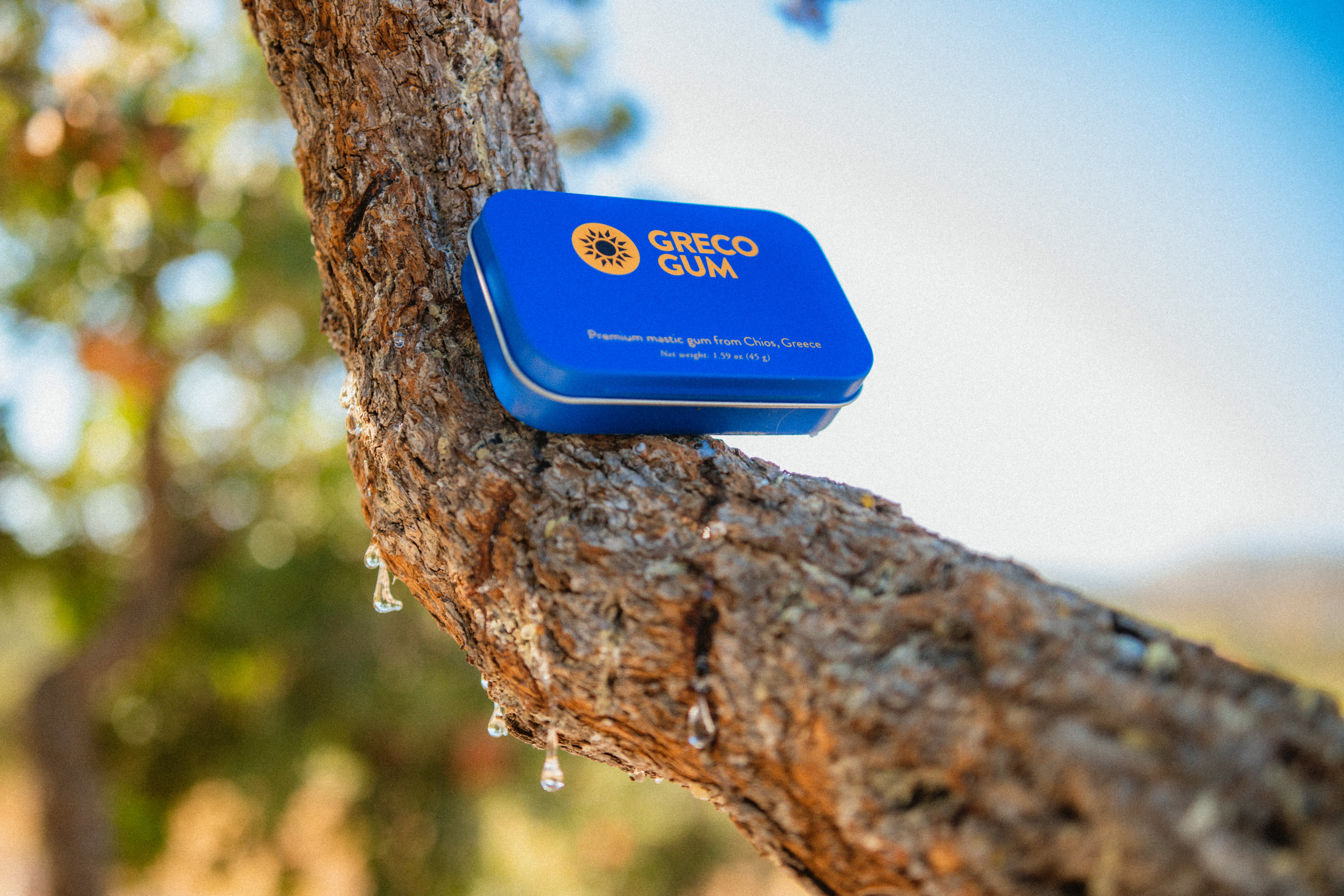 A tin of Greco Gum rests on a tree branch.