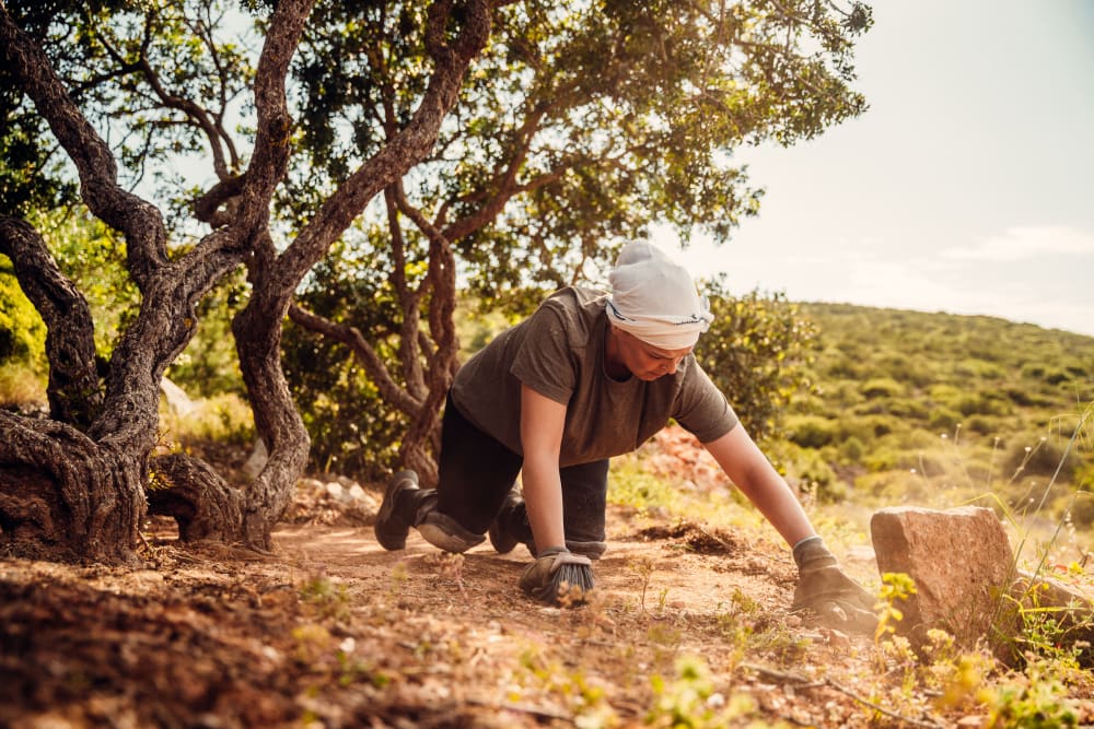 A grower tending a mastic tree on a hillside in southern Chios