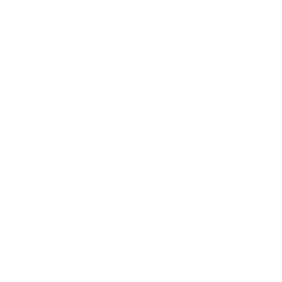 Dedicated Team-icon