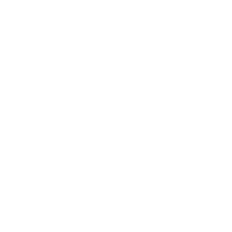 Continuous Support & Optimization-icon