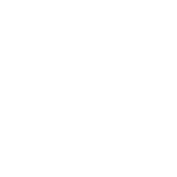 Staff Augmentation-icon
