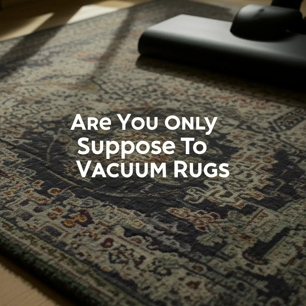 Are You Only Suppose To Vacuum Rugs
