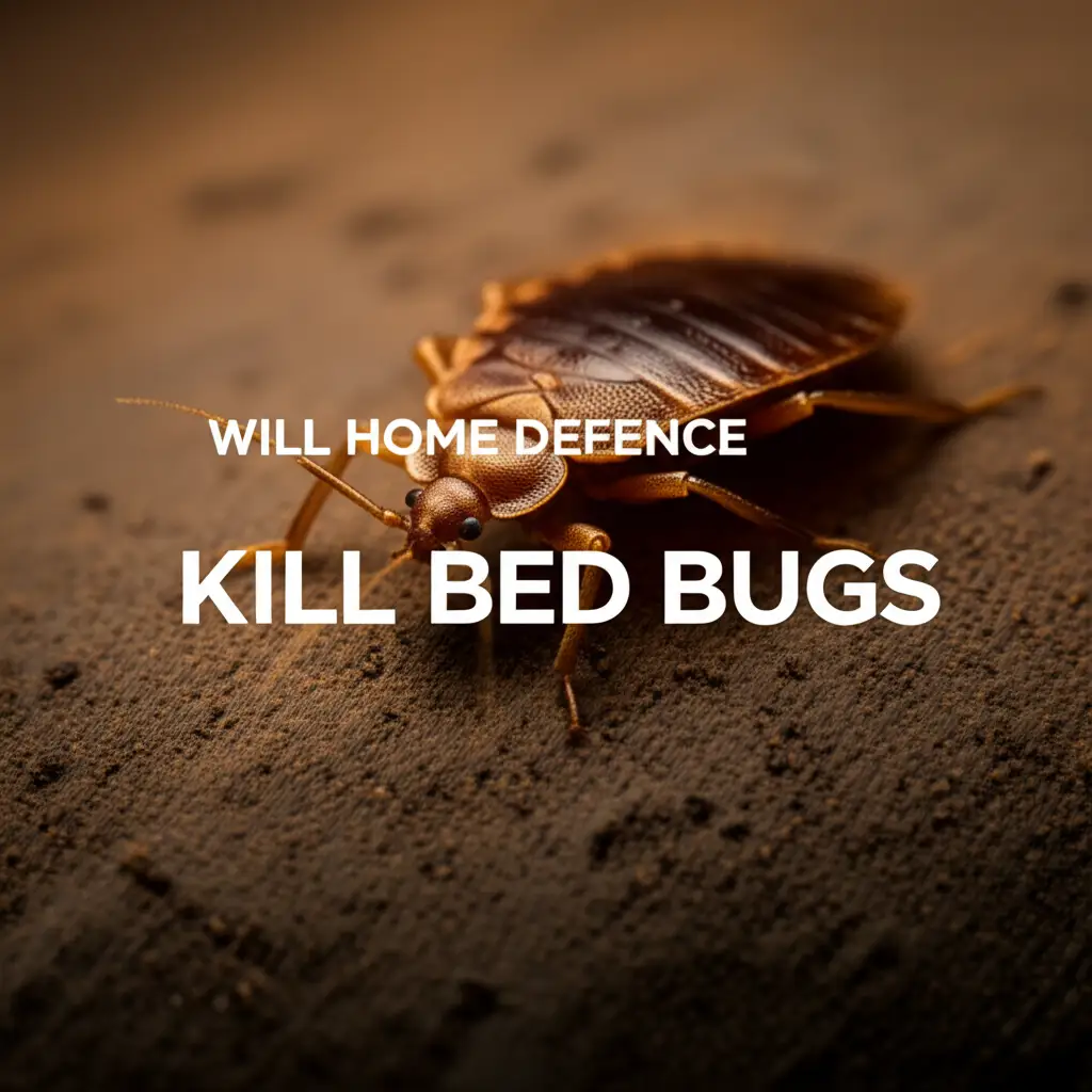 Will Home Defence Kill Bed Bugs