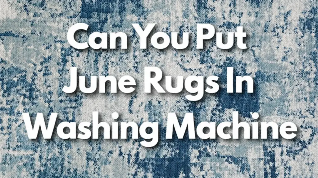 Can You Put June Rugs In Washing Machine