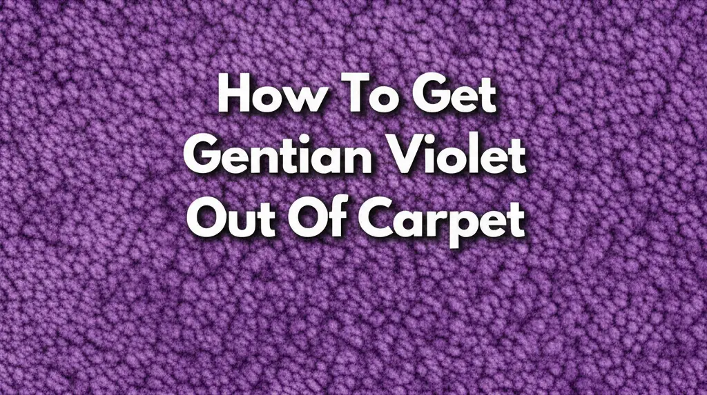 How To Get Gentian Violet Out Of Carpet