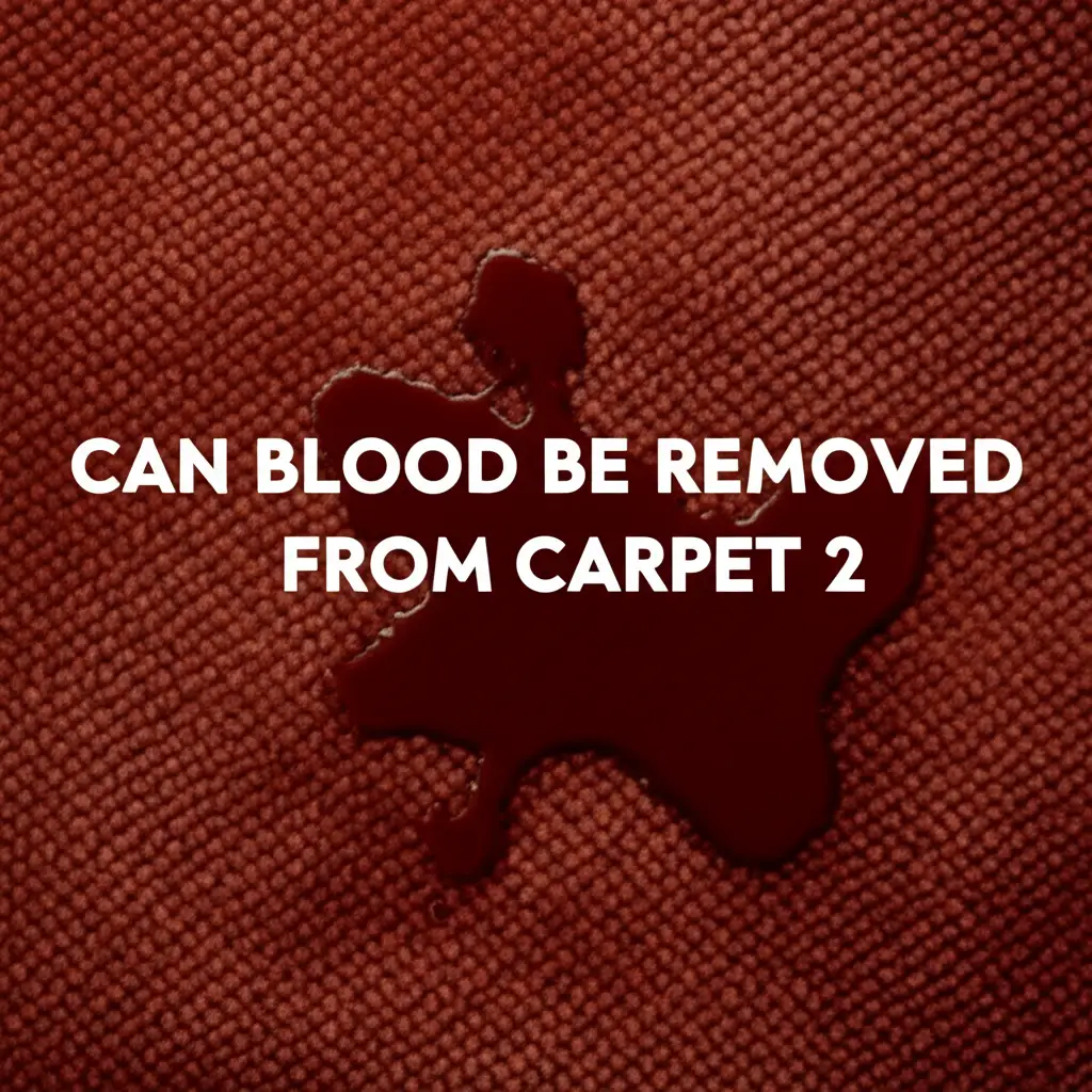 Can Blood Be Removed From Carpet