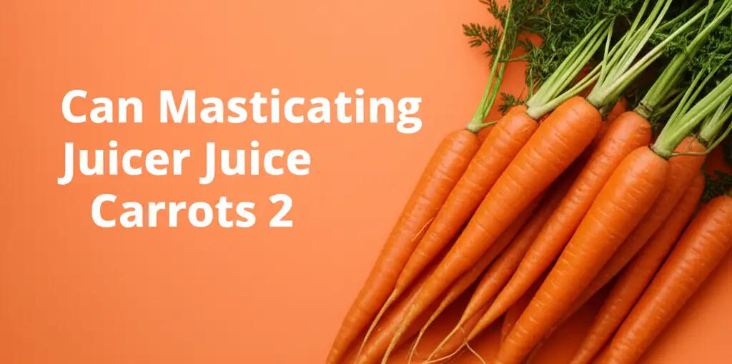 Discover how masticating juicers excel at juicing carrots, maximizing yield and nutrients. Learn preparation tips, process nuances, and maintenance for vibrant carrot juice.