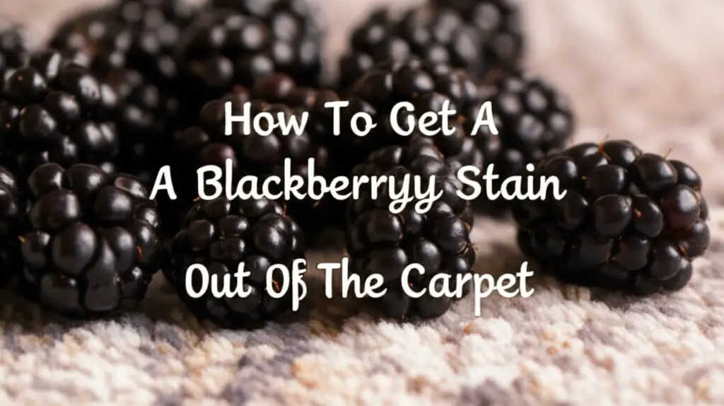 How To Get A Blackberryy Stain Out Of The Carpet