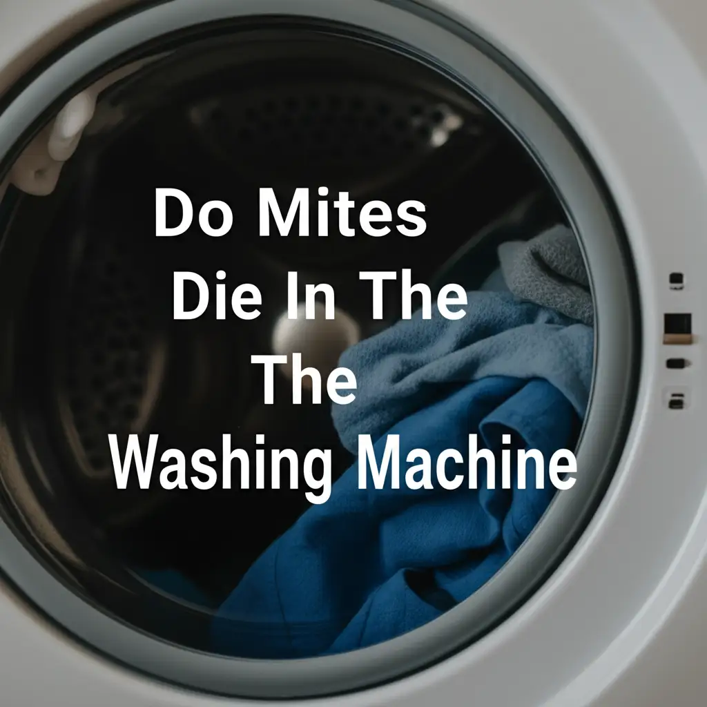 Do Mites Die In The Washing Machine? Get Answers!