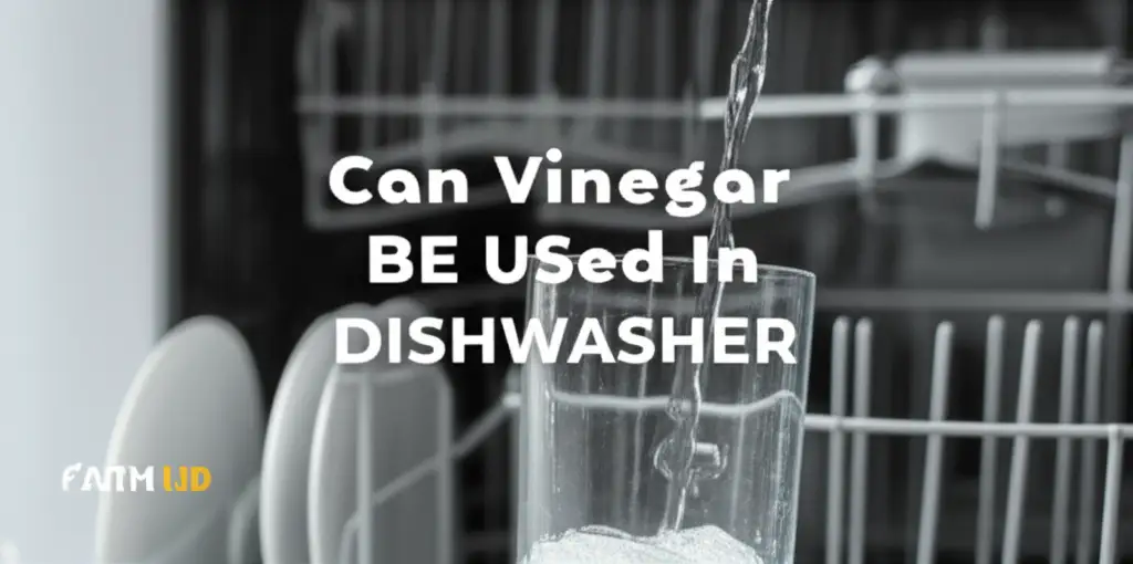Can Vinegar Be Used In Dishwasher