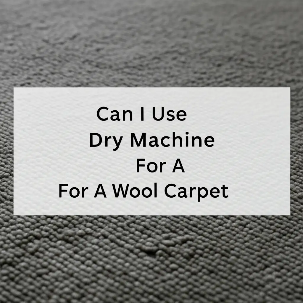 Can I Use Dry Machine For A Wool Carpet