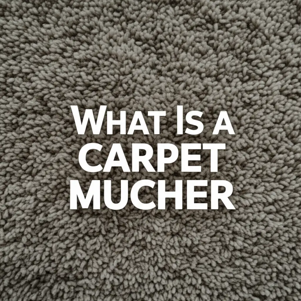 What Is A Carpet Mucher