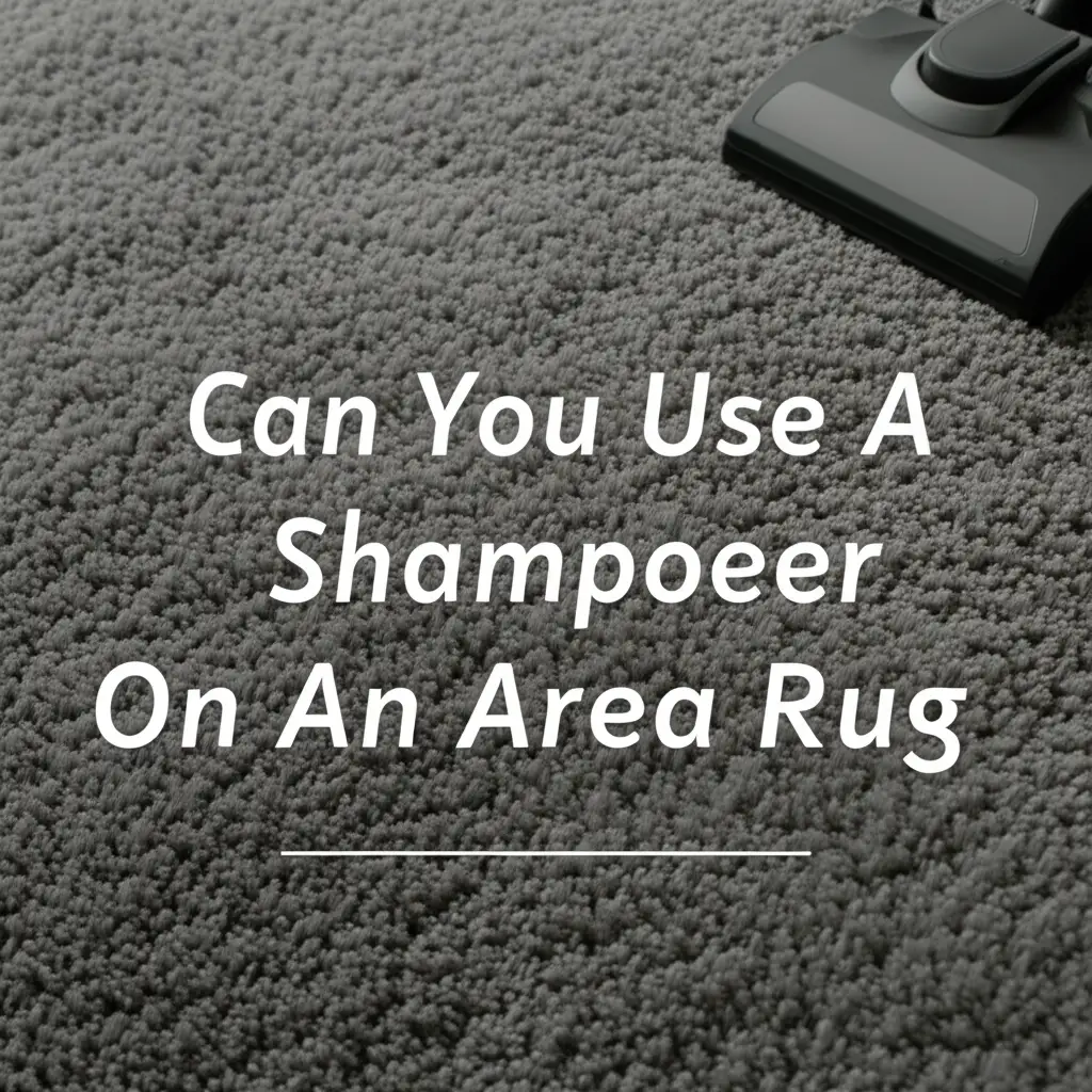Can You Use A Shampooer On An Area Rug