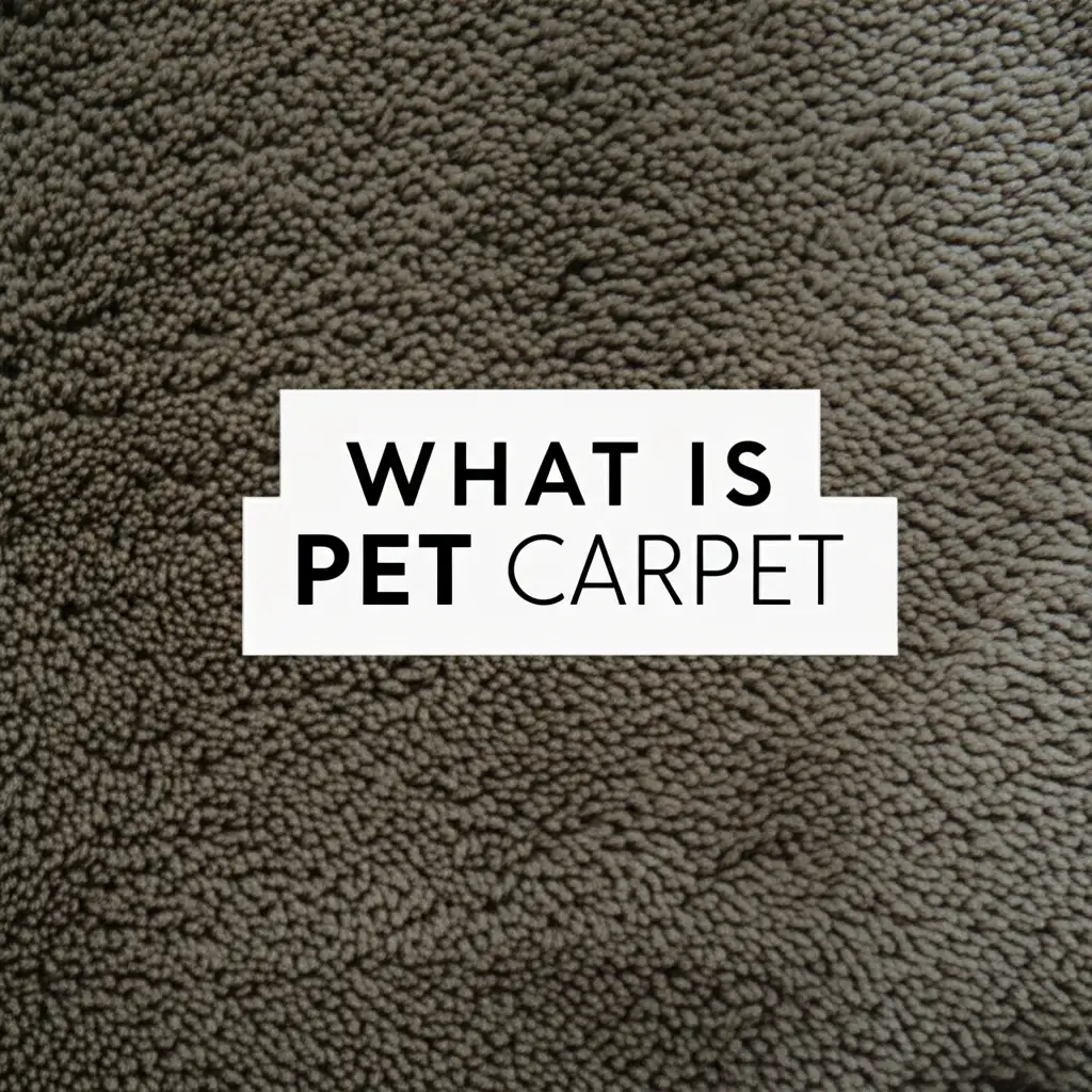What Is Pet Carpet