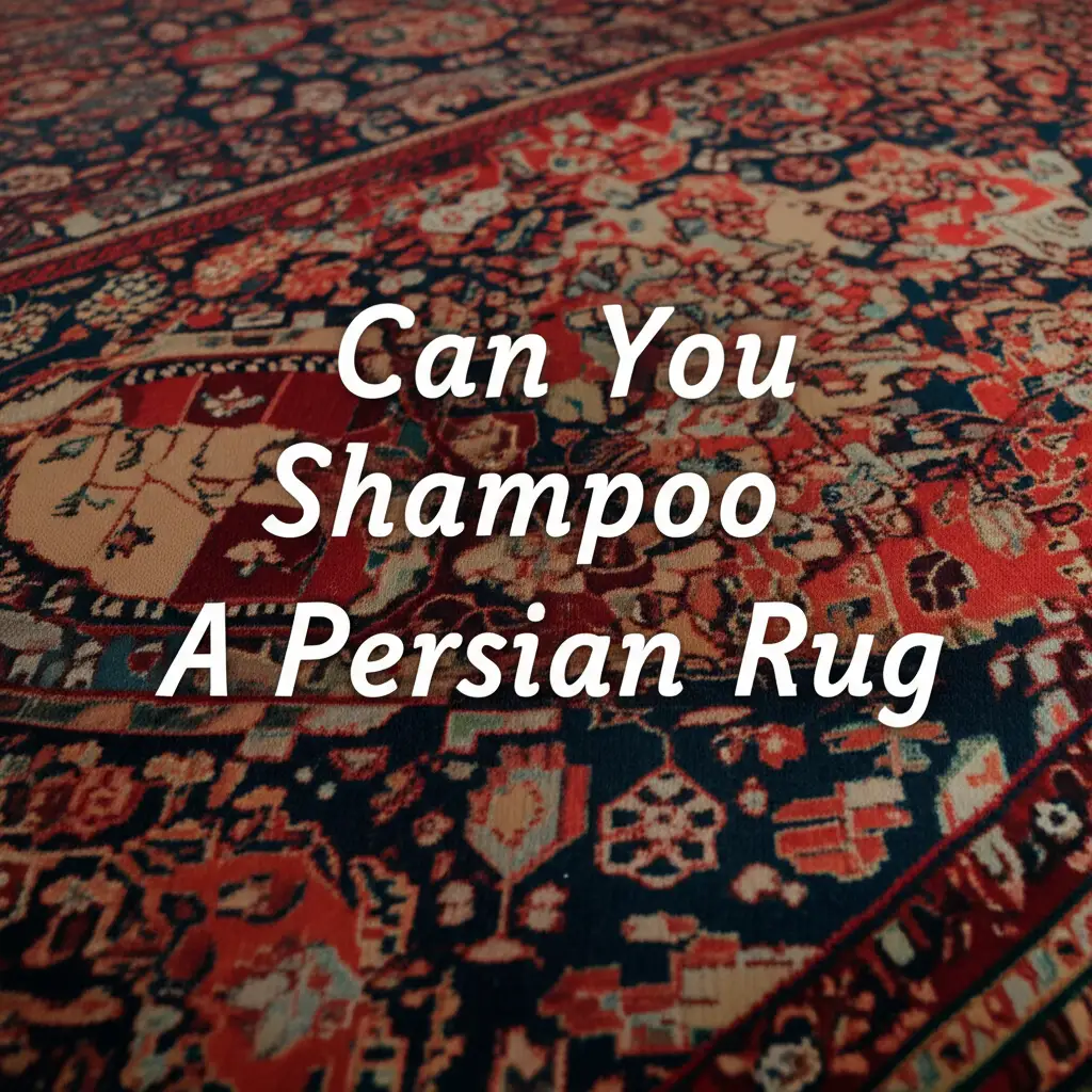 Can You Shampoo A Persian Rug