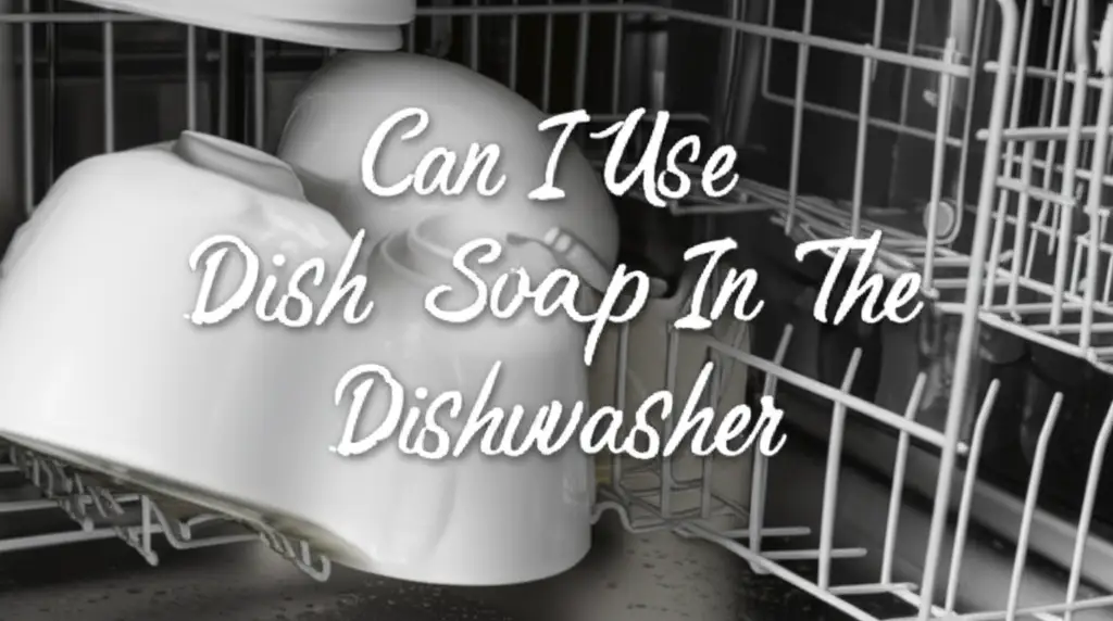 Can I Use Dish Soap In The Dishwasher