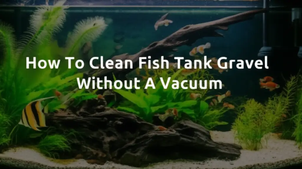 How To Clean Fish Tank Gravel Without A Vacuum