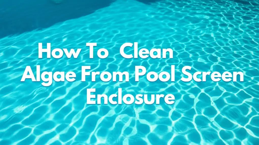 How To Clean Algae From Pool Screen Enclosure
