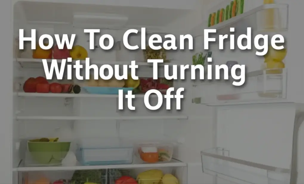 How To Clean Fridge Without Turning It Off