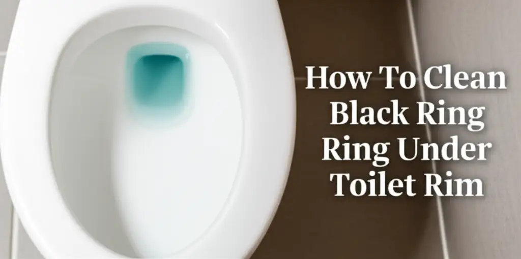 How To Clean Black Ring Under Toilet Rim