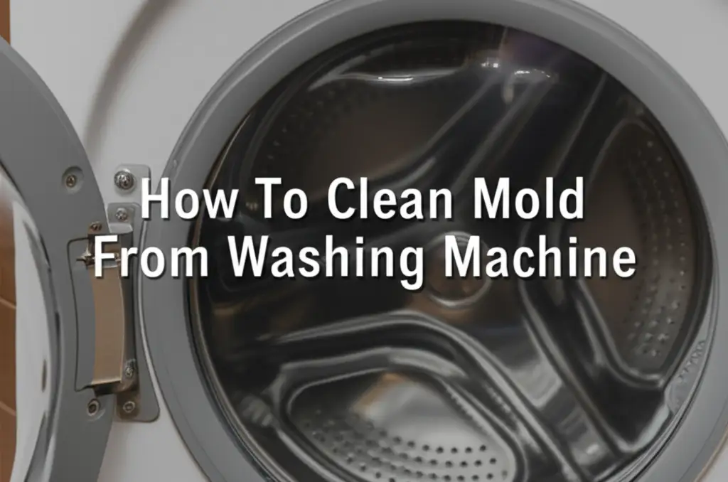 How To Clean Mold From Washing Machine
