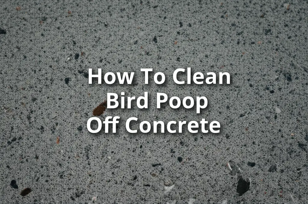 How To Clean Bird Poop Off Concrete