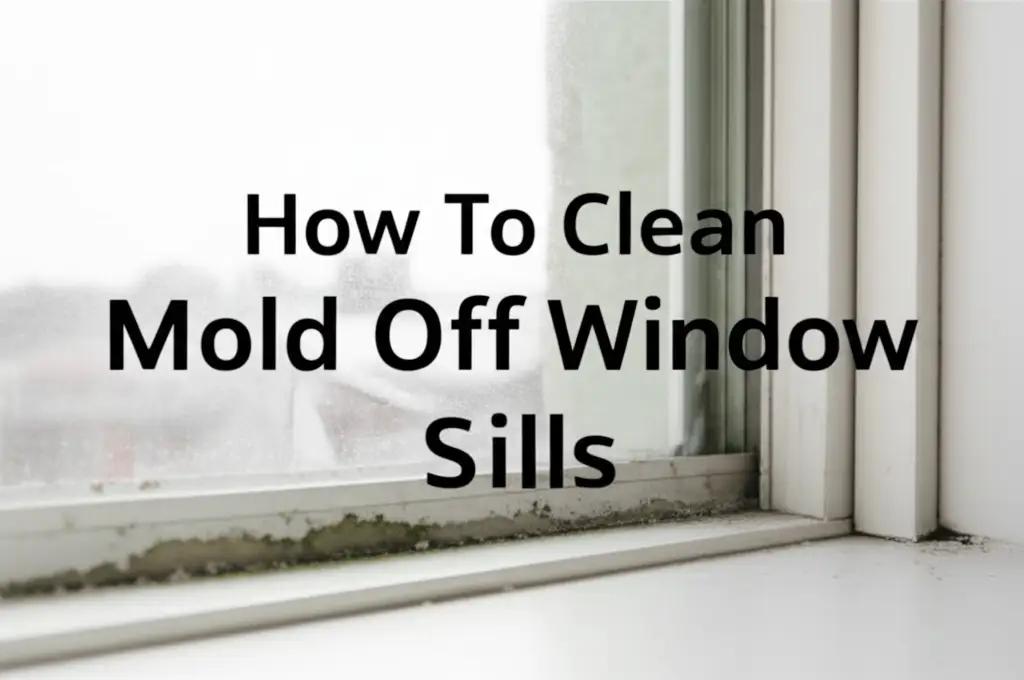 How To Clean Mold Off Window Sills