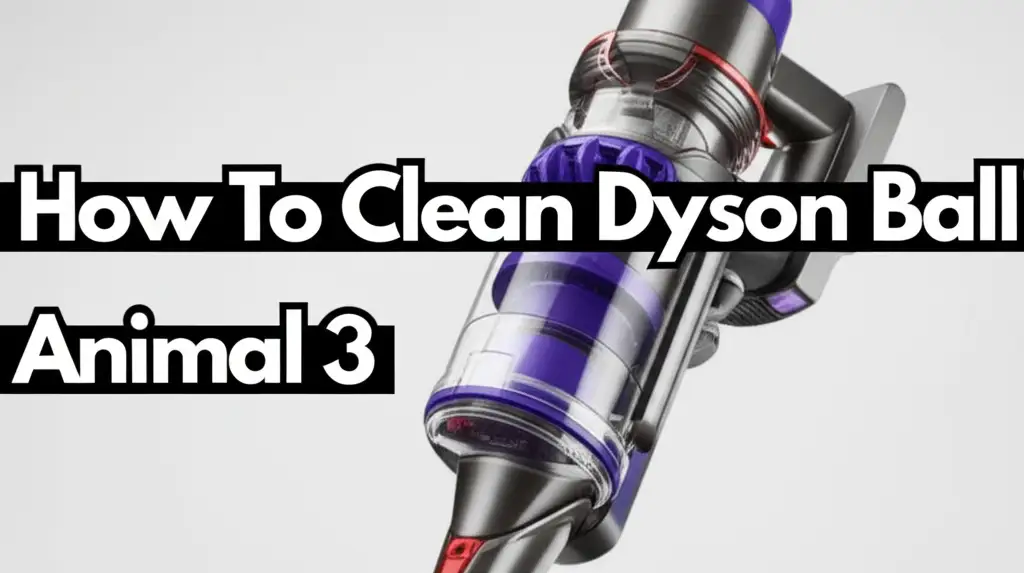 How To Clean Dyson Ball Animal 3