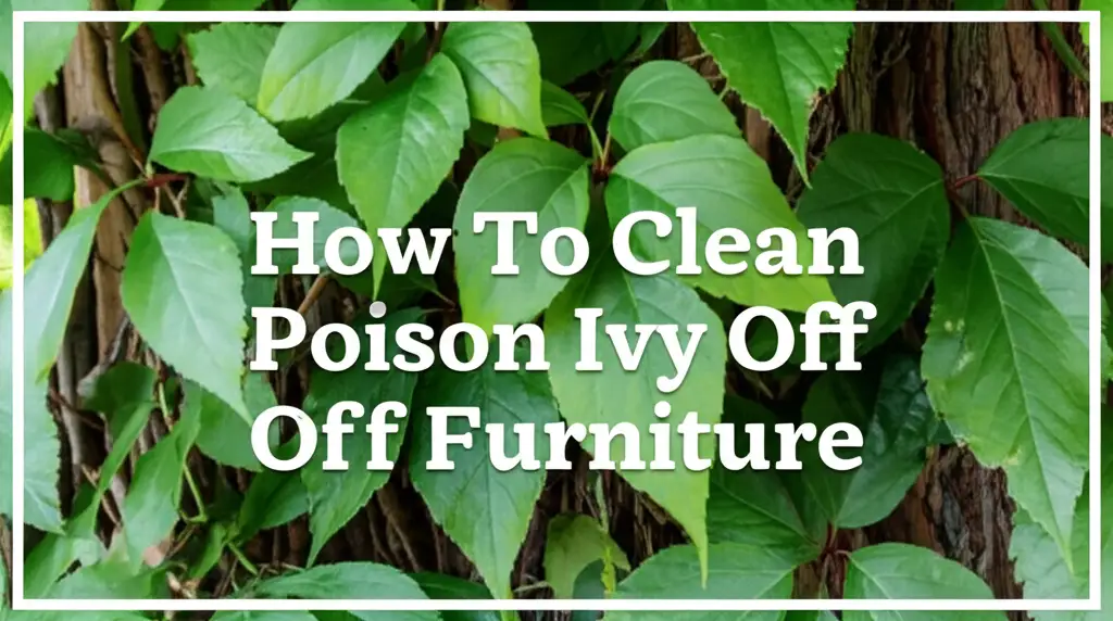 How To Clean Poison Ivy Off Furniture