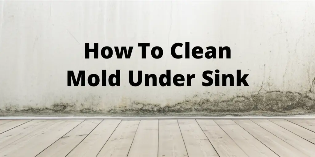 How To Clean Mold Under Sink