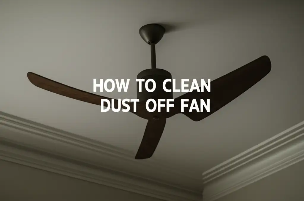 How To Clean Dust Off Fan