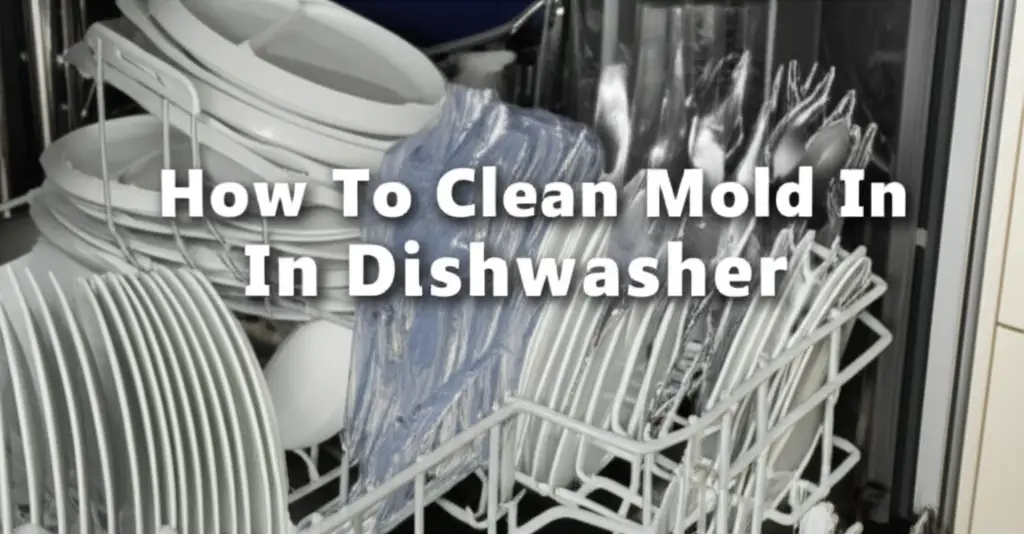 How To Clean Mold In Dishwasher