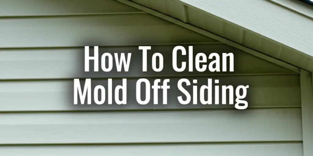 How To Clean Mold Off Siding