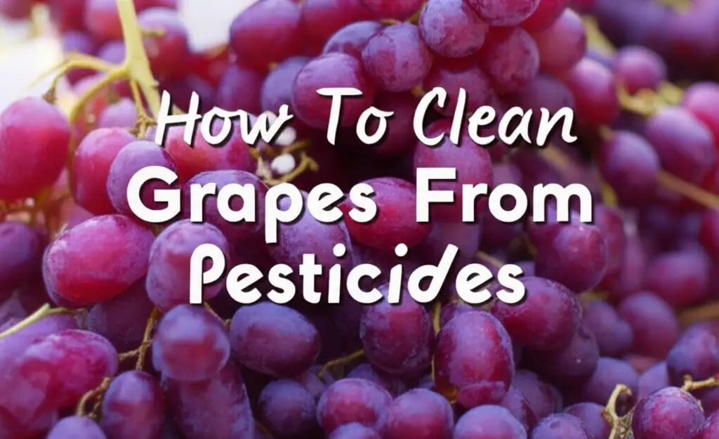How To Clean Grapes From Pesticides
