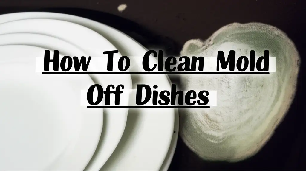 How To Clean Mold Off Dishes