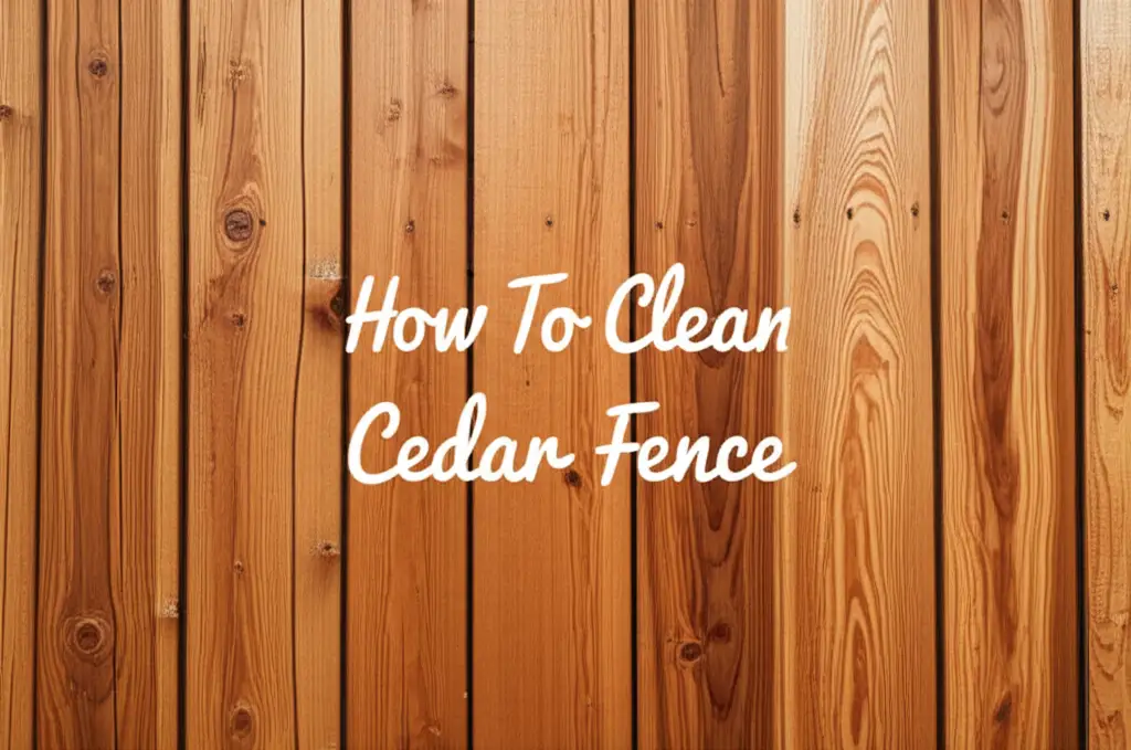 How To Clean Cedar Fence