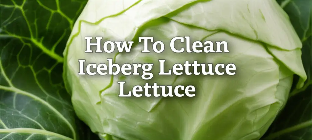How To Clean Iceberg Lettuce