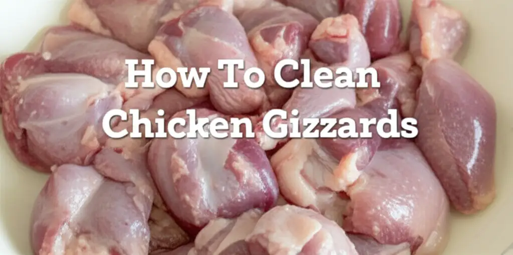 How To Clean Chicken Gizzards
