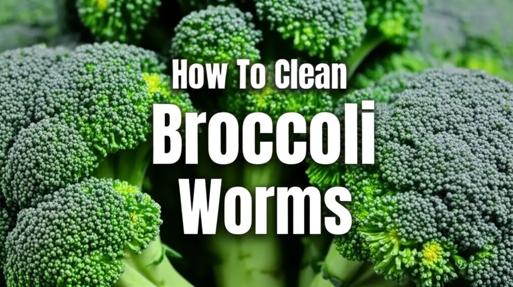 How To Clean Broccoli Worms