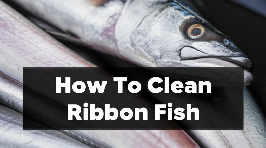 How To Clean Ribbon Fish