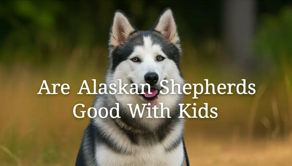 Are Alaskan Shepherds Good With Kids
