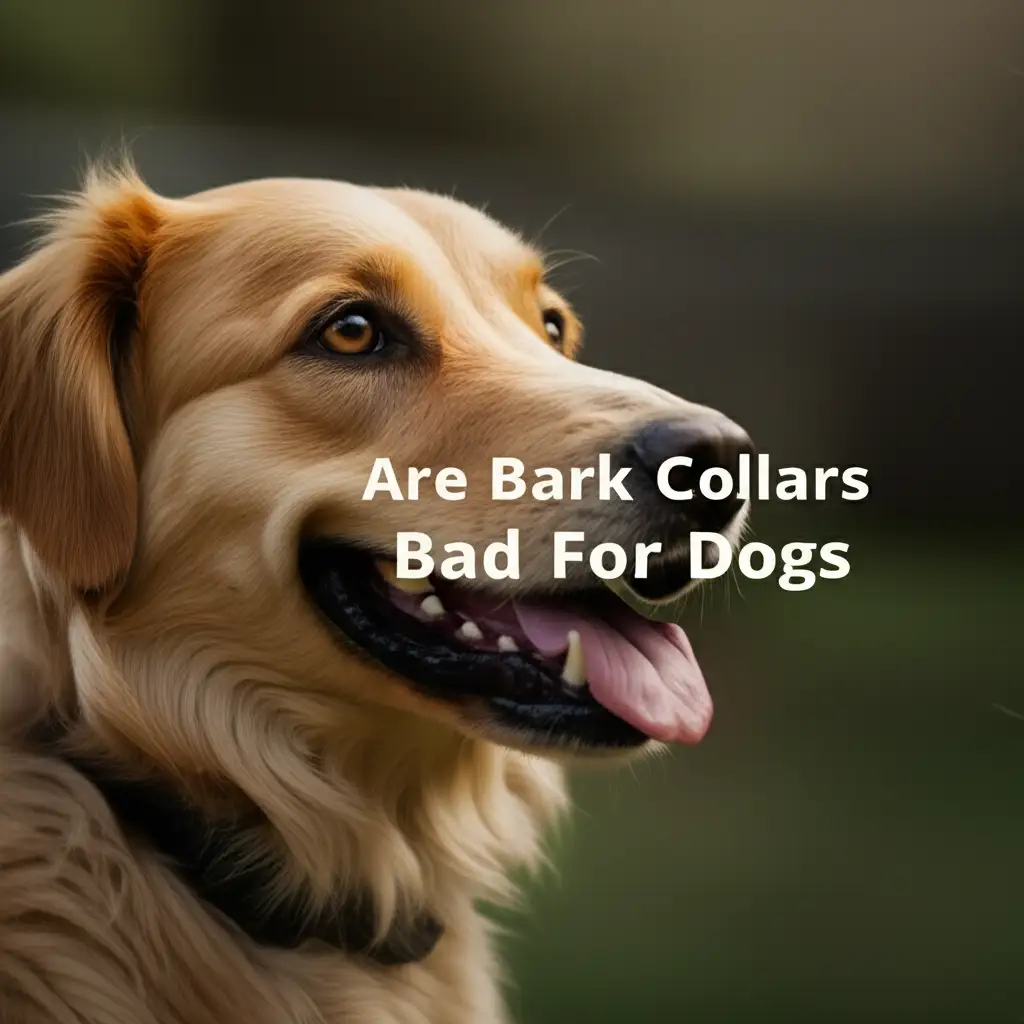 Are Bark Collars Bad For Dogs