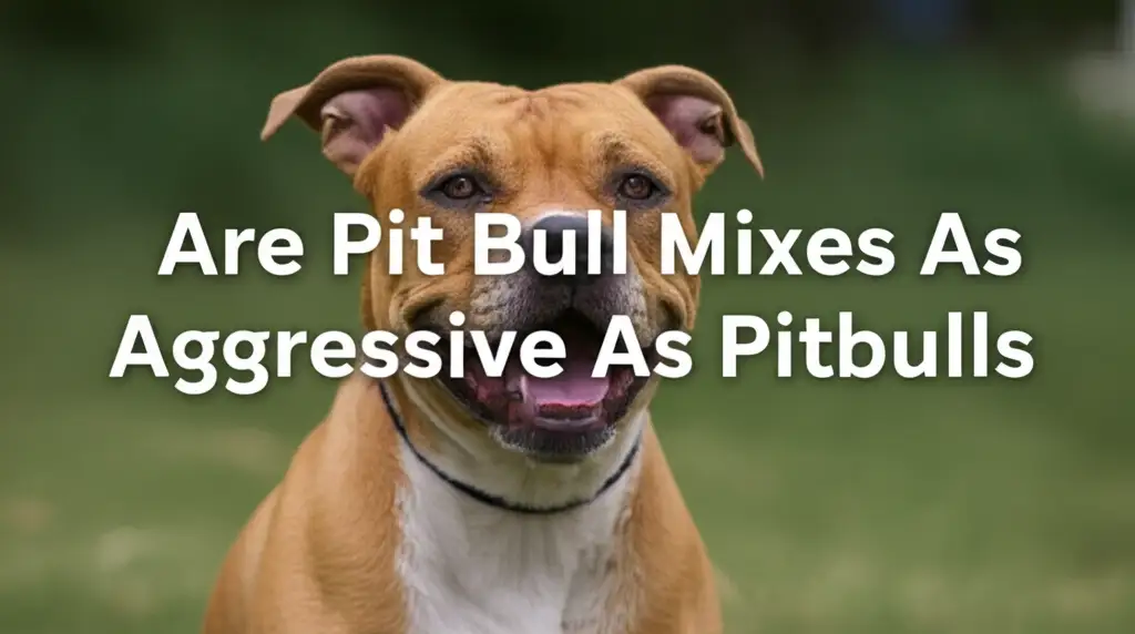 Are Pit Bull Mixes As Aggressive As Pitbulls