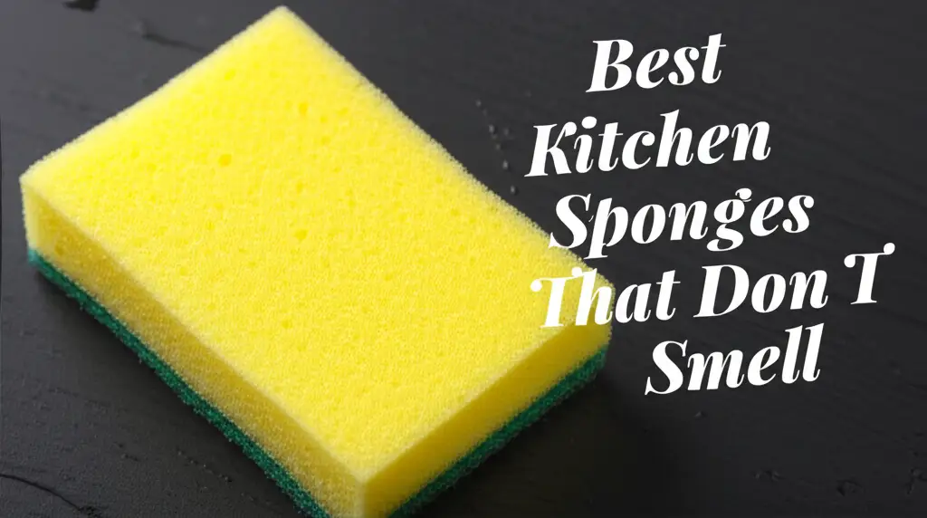 9 Best Kitchen Sponges That Don T Smell in 2025