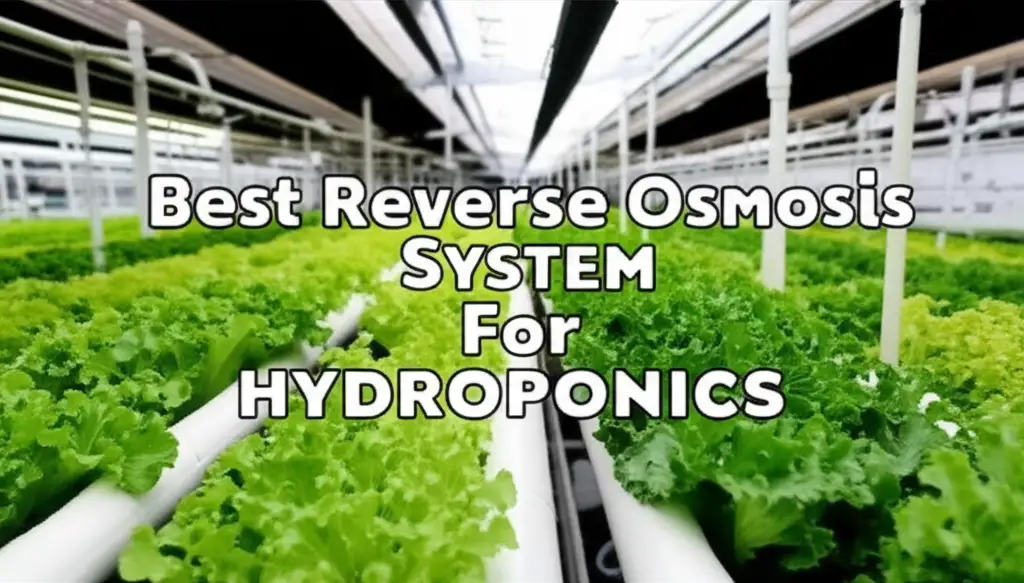 9 Best Reverse Osmosis System For Hydroponics 2025