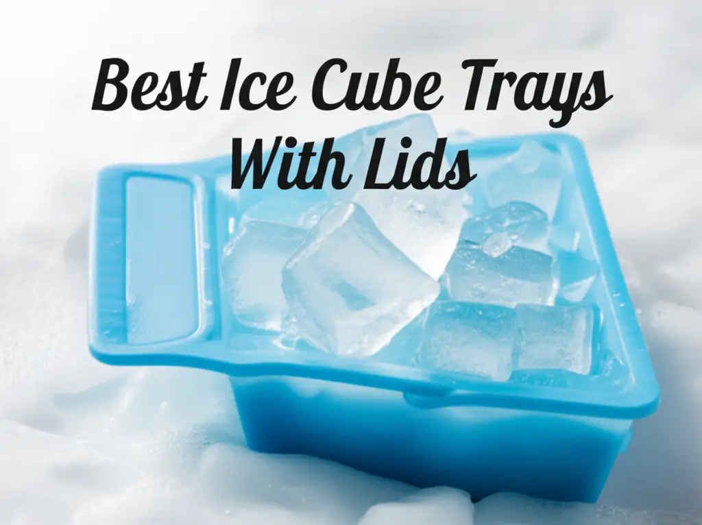 10 Best Ice Cube Trays With Lids for 2025