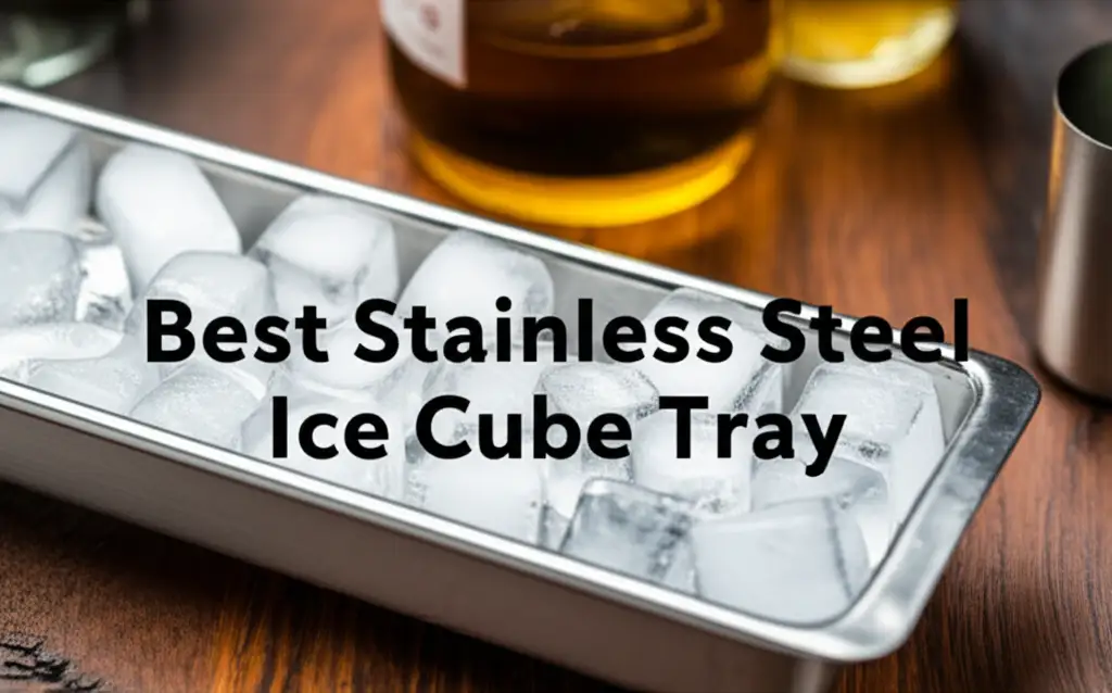 10 Best Stainless Steel Ice Cube Tray in 2025