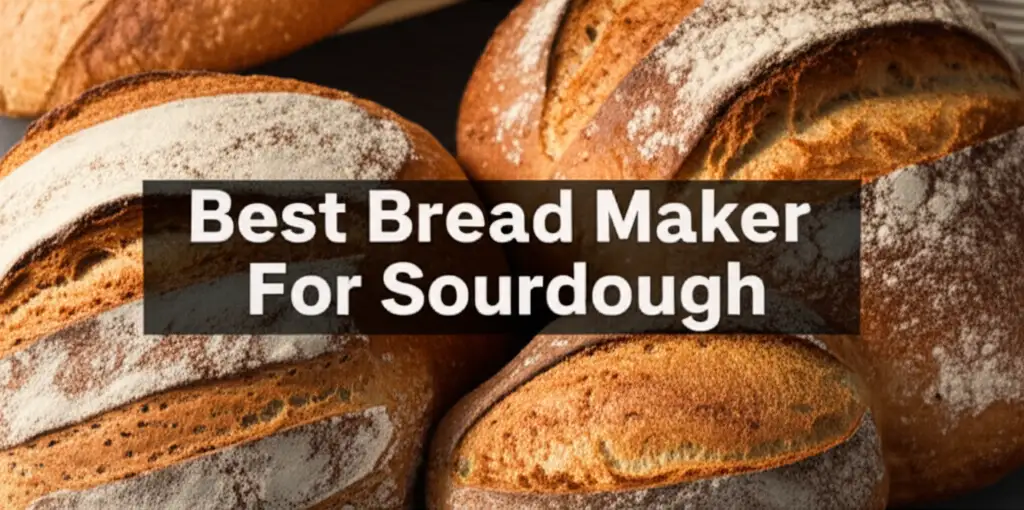 Best Bread Maker For Sourdough