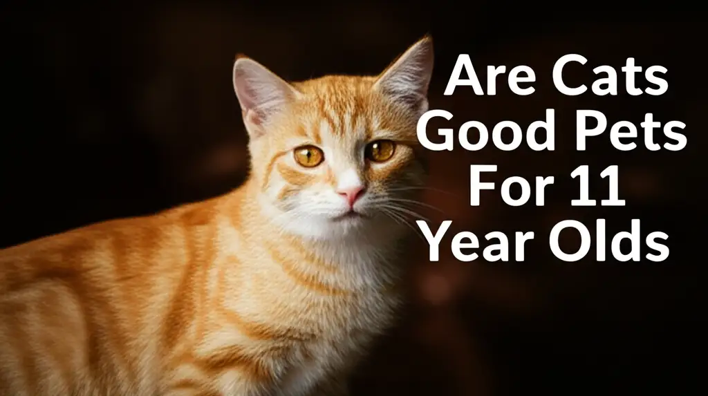 Are Cats Good Pets For 11 Year Olds