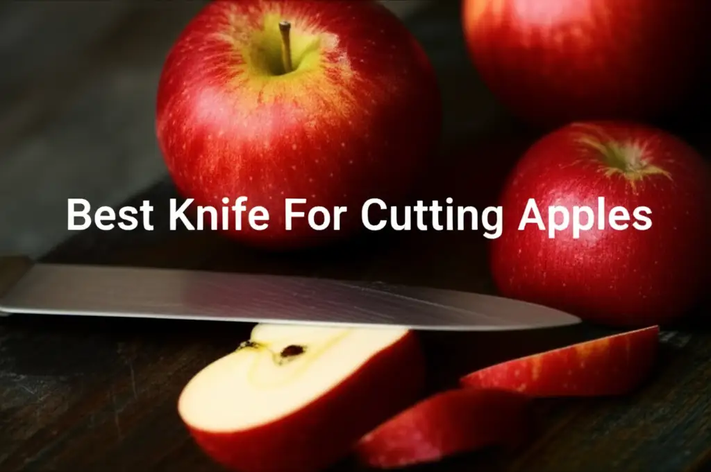 Struggling to find the perfect apple knife? We tested dozens to find the best knife for cutting apples, so you can slice with ease and precision every time.